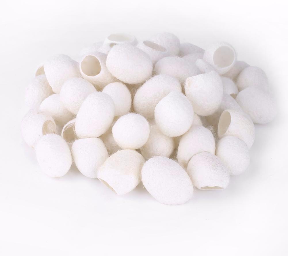 Cocoons Silkworm Balls