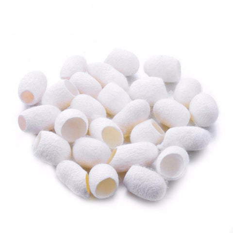 Cocoons Silkworm Balls